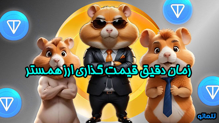 قیمت گذاری همستر کامبت | قیمت همستر چقدر است؟ | خرید و فروش همستر | انتقال همستر به کیف پول | انتقال همستر به صرافی ها | hamster kombat | تلماتو