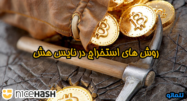 روش های استخراج در نایس هش | تلماتو